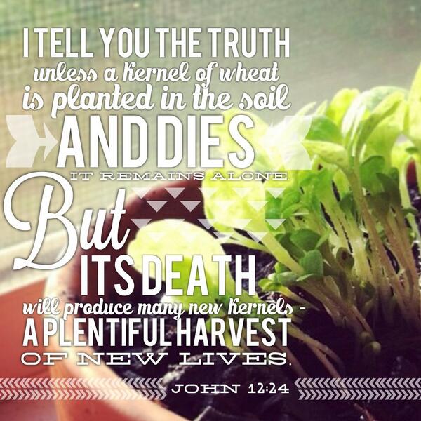 John 12:24, death that produces life