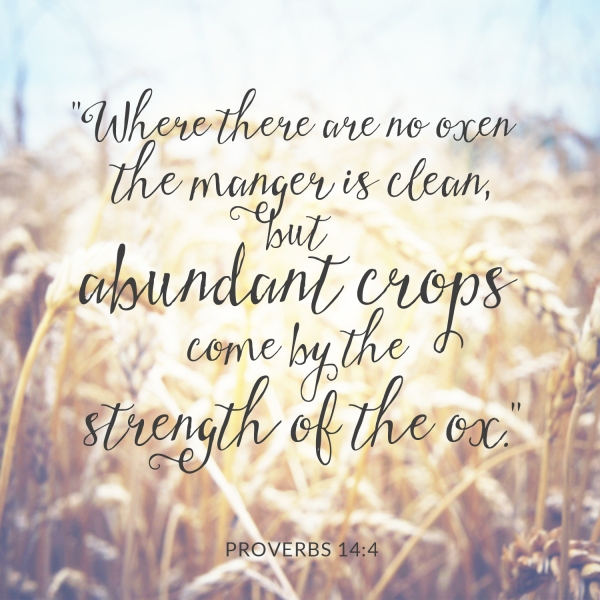 "Where there are no oxen, the manger is clean, but abundant crops come by the strength of the ox" Proverbs 14:4